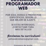 Programador Web